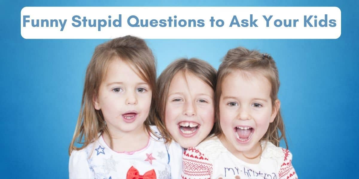stupid questions