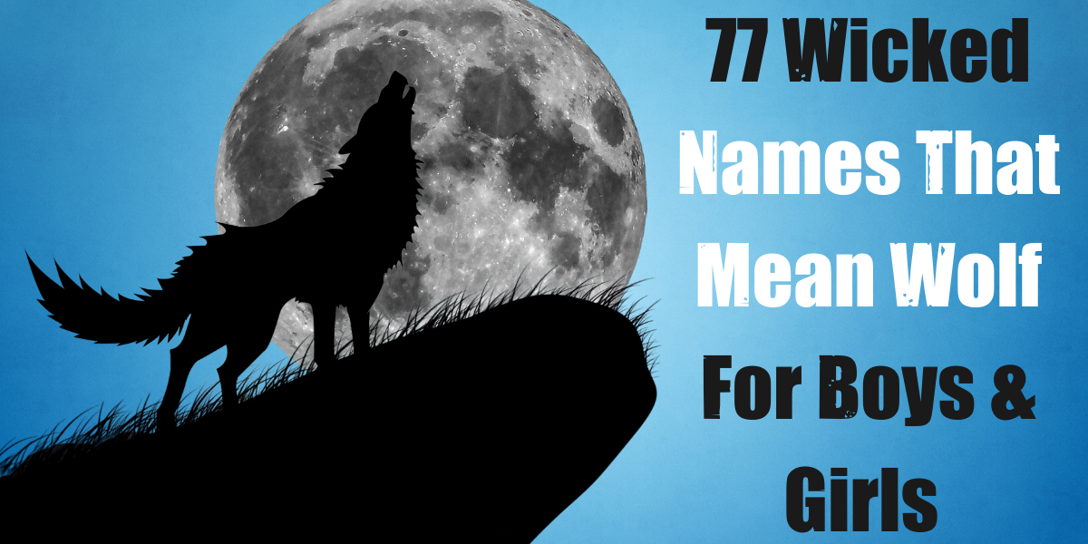 names that mean wolf