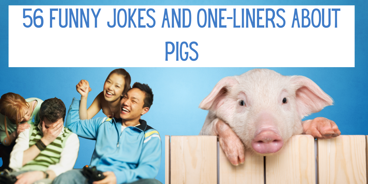 jokes about pigs