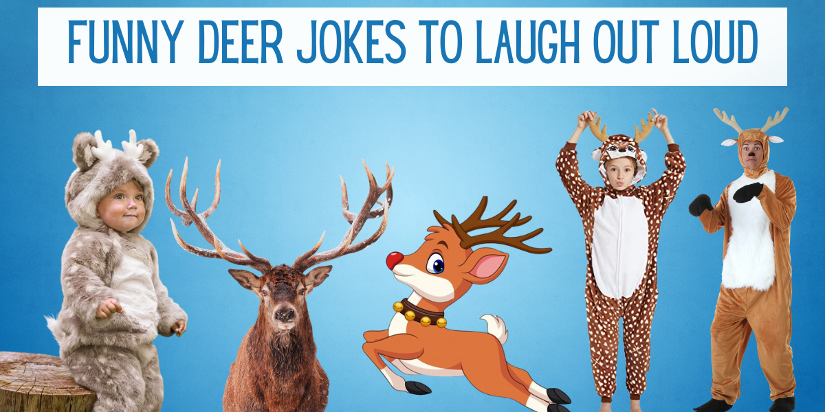 deer jokes